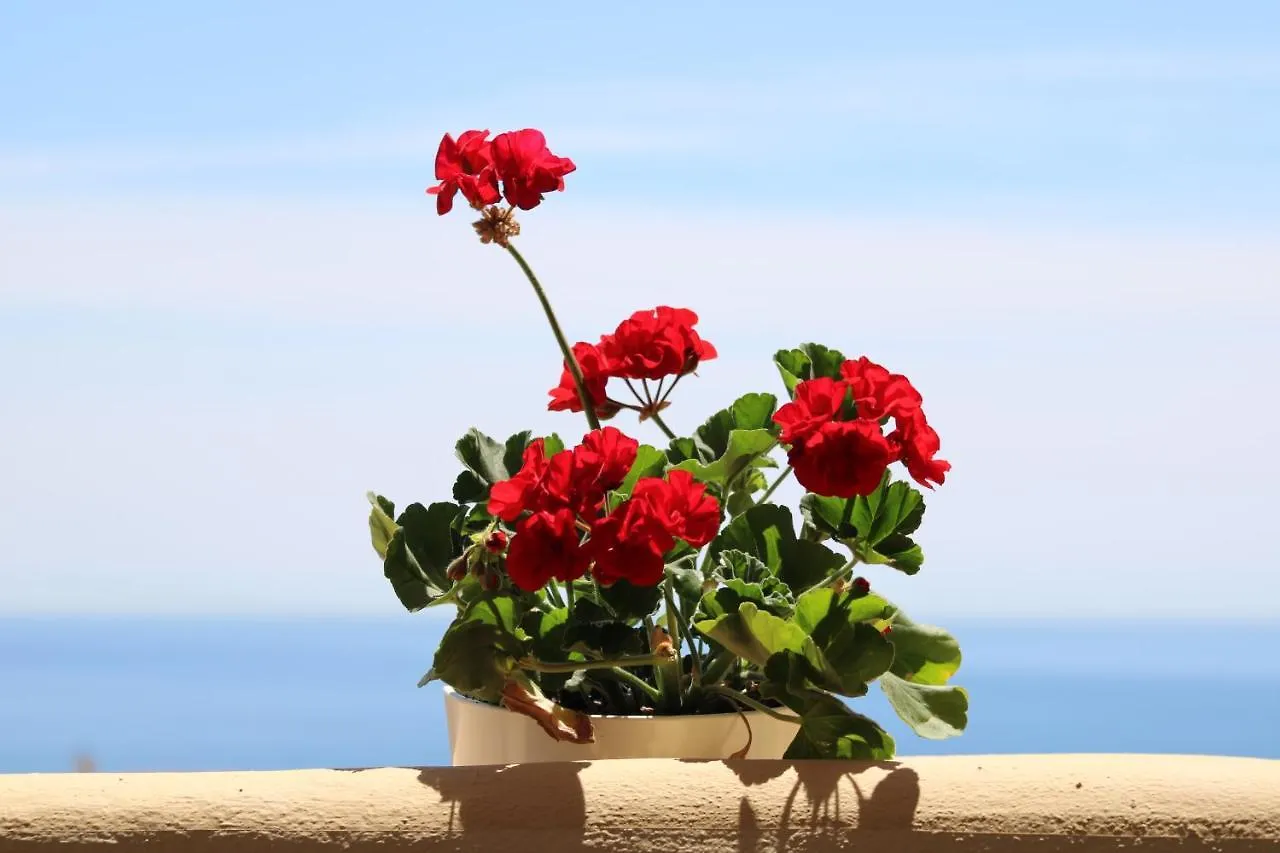 Amazing Sea View Apartment Fuengirola